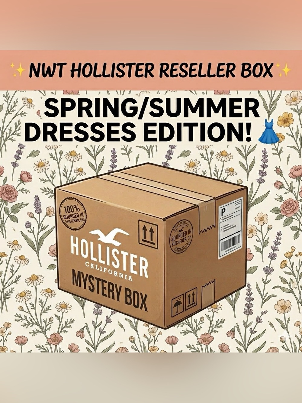 NWT $600+ Hollister Reseller Box- Cottage Core Themed Dresses